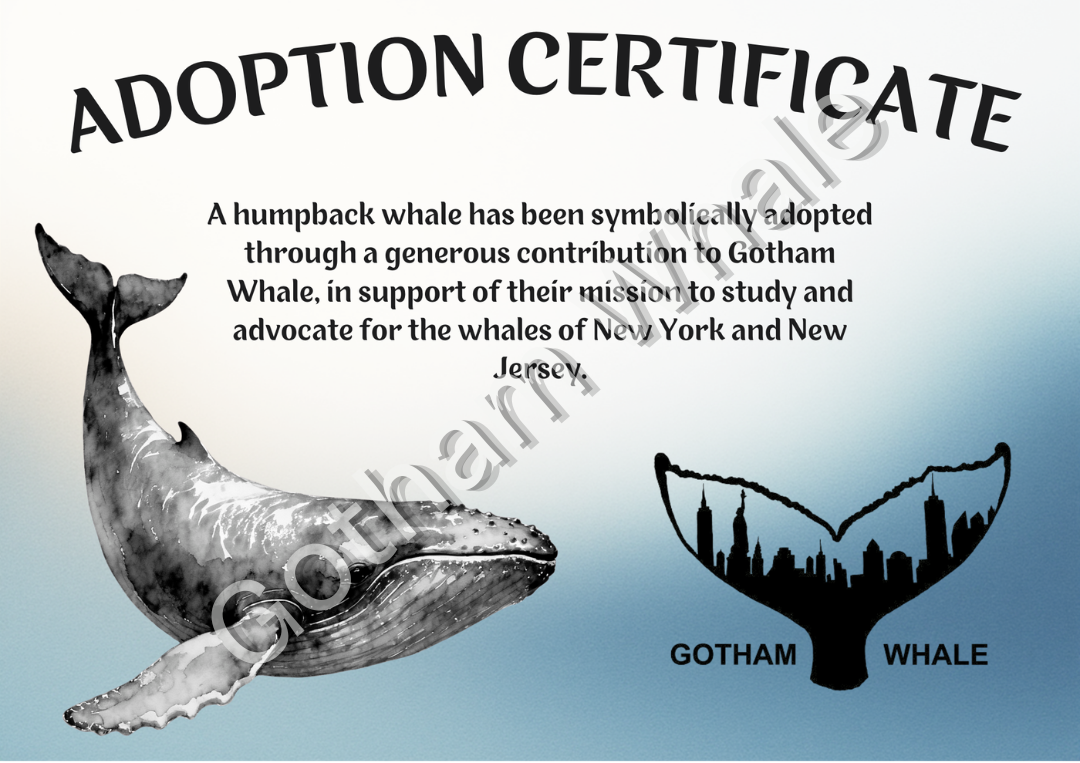Adoption Certificate