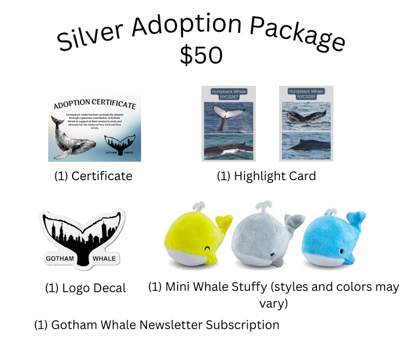 Silver Adoption Package