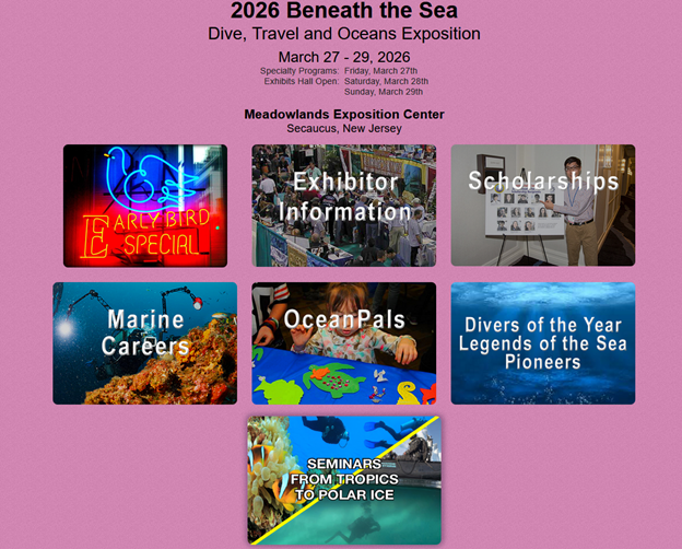 World Whale Day at Jenkinson's Aquarium