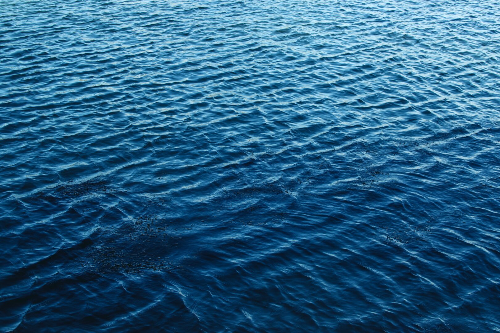 A body of water with blue water and ripples.