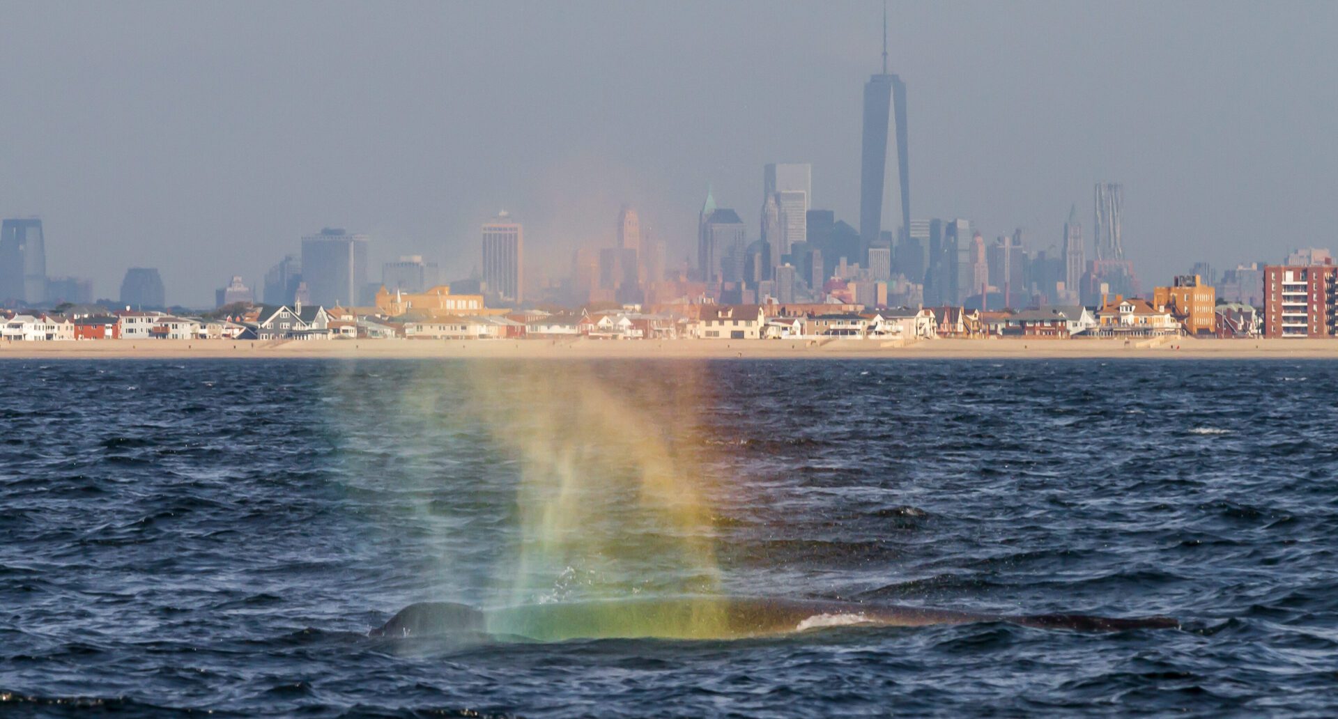 A rainbow is seen in the ocean near a city.