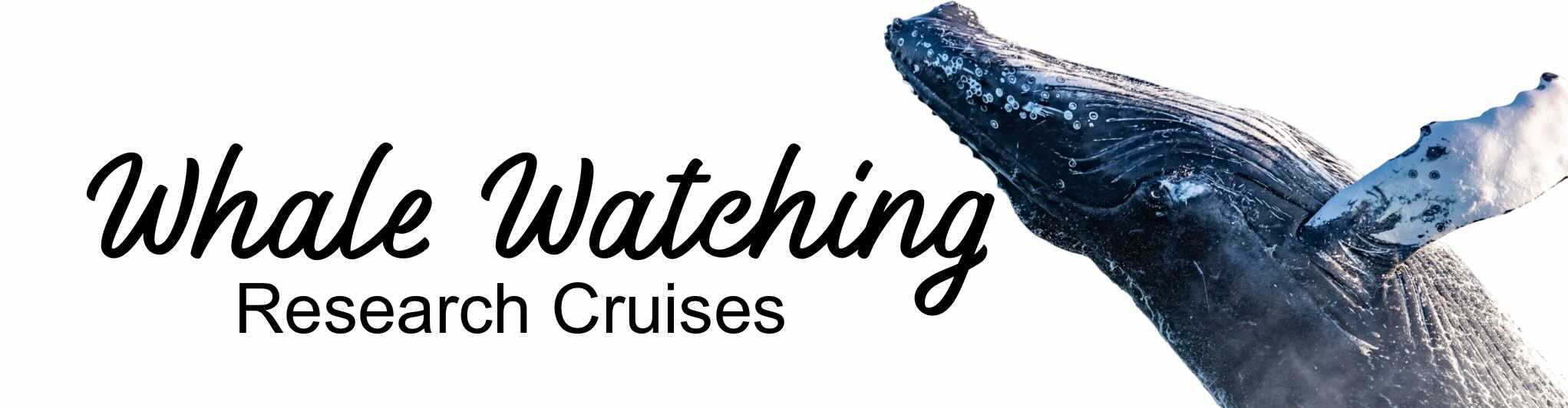 A picture of the logo for watching cruises.