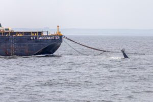 A large boat in the water with a rope attached to it.