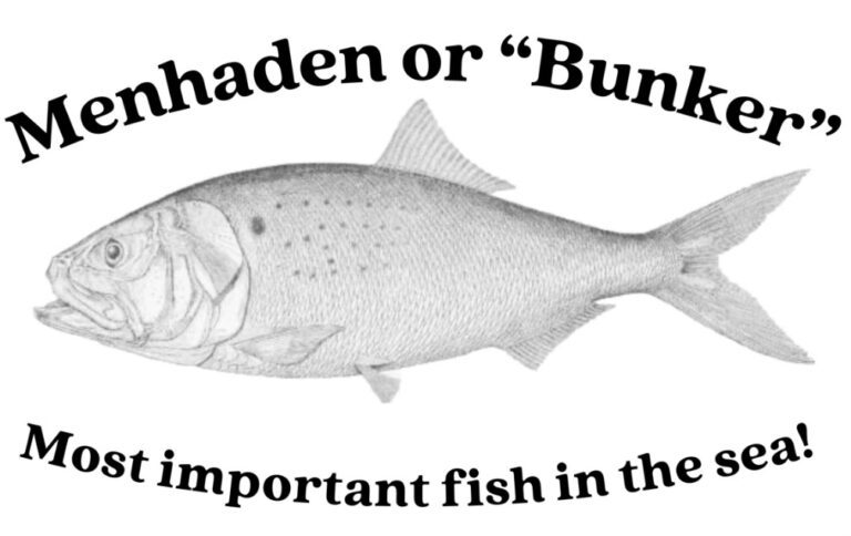 A fish is shown with the words " haden or bunkley " underneath it.